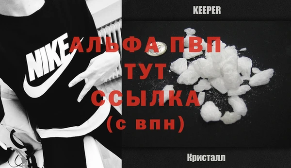 ECSTASY Богородицк