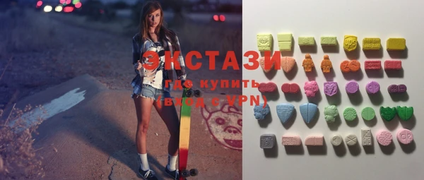 ECSTASY Богородицк