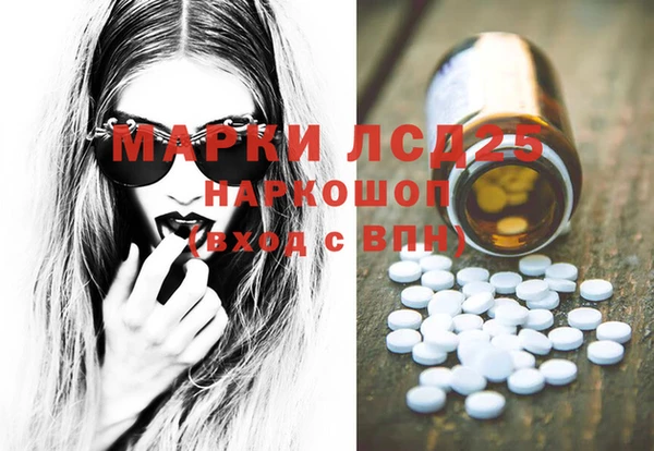 ECSTASY Богородицк