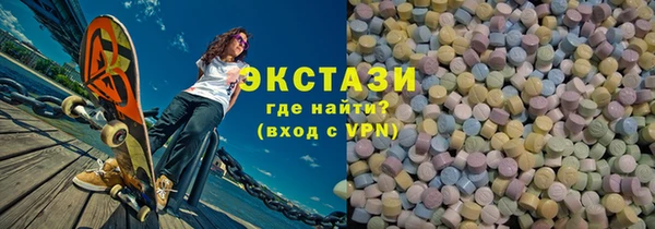 ECSTASY Богородицк