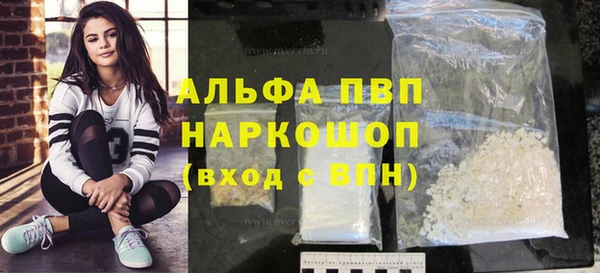 ECSTASY Богородицк