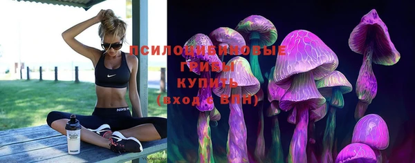 ALPHA PVP Бугульма